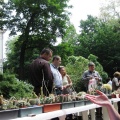 Выставка май 2009