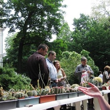 Выставка май 2009