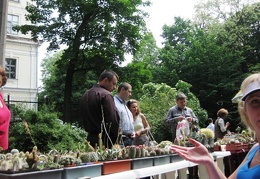 Выставка май 2009