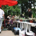 Выставка май 2009