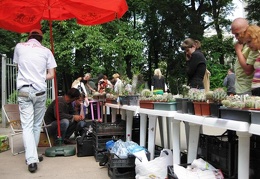 Выставка май 2009