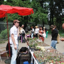 Выставка май 2009