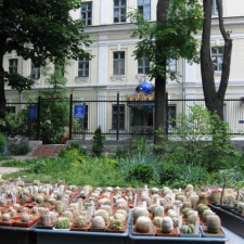 Выставка май 2009