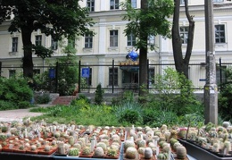 Выставка май 2009