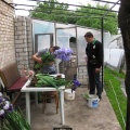 Посещение теплиц Г.Мухина (Фастов)