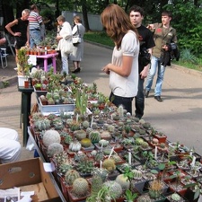 Выставка май 2009