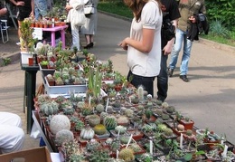 Выставка май 2009