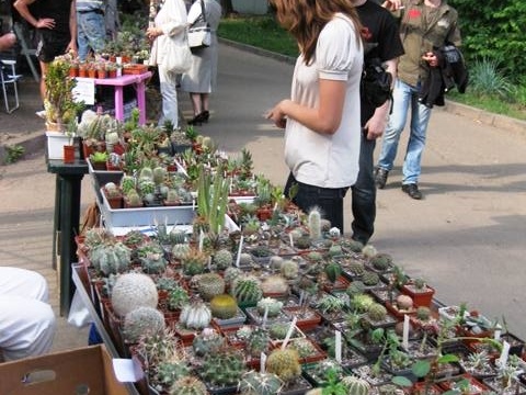 Выставка май 2009