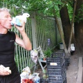 Выставка май 2009
