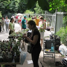 Выставка май 2009