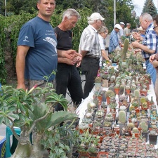 Выставка 02-04.09.2011 на Куликовом поле