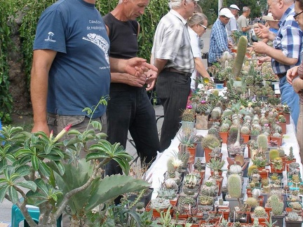 Выставка 02-04.09.2011 на Куликовом поле