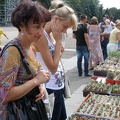 Выставка 02-04.09.2011 на Куликовом поле