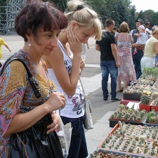 Выставка 02-04.09.2011 на Куликовом поле
