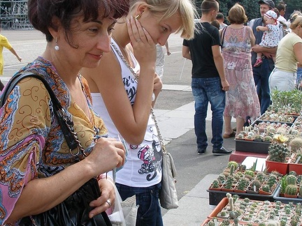 Выставка 02-04.09.2011 на Куликовом поле