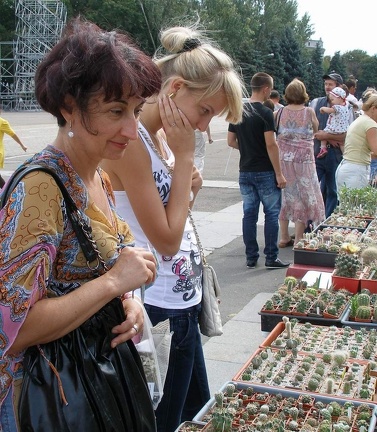 Выставка 02-04.09.2011 на Куликовом поле