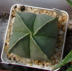 Выставка 02-04.09.2011 на Куликовом поле