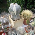 Выставка 02 -04.09.2011 на Куликовом поле