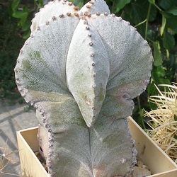 Одесса 02-04.09.2011