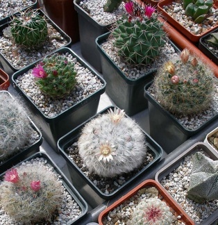 Выставка 02 -04.09.2011 на Куликовом поле