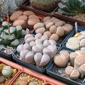 Выставка 02 -04.09.2011 на Куликовом поле