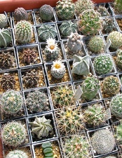 Выставка 02 -04.09.2011 на Куликовом поле