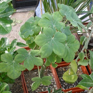 Выставка 02-04.09.2011 на Куликовом поле