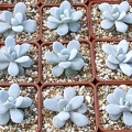 Выставка 02 -04.09.2011 на Куликовом поле