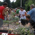 Выставка 02-04.09.2011 на Куликовом поле