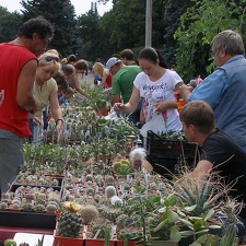 Выставка 02-04.09.2011 на Куликовом поле