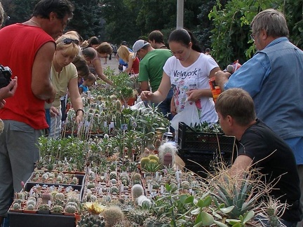 Выставка 02-04.09.2011 на Куликовом поле