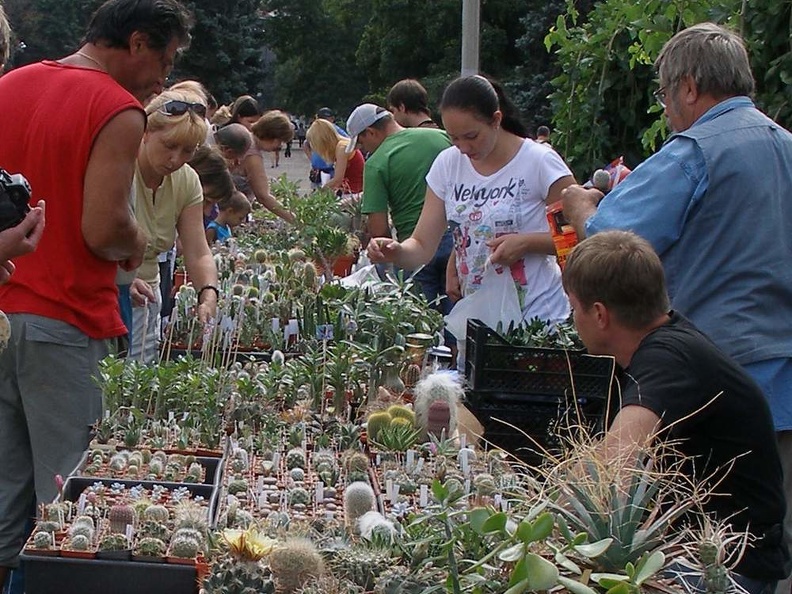 Выставка 02-04.09.2011 на Куликовом поле