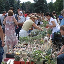 Выставка 02-04.09.2011 на Куликовом поле