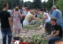 Выставка 02-04.09.2011 на Куликовом поле