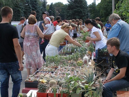Выставка 02-04.09.2011 на Куликовом поле