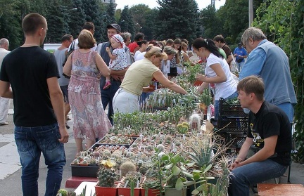 Выставка 02-04.09.2011 на Куликовом поле