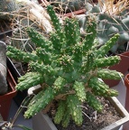 Выставка 02-04.09.2011 на Куликовом поле