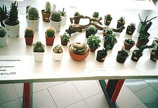 Выставка 2 августа 2003 