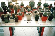 Выставка 2 августа 2003 