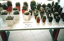 Выставка 2 августа 2003 