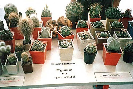 Выставка 2 августа 2003 