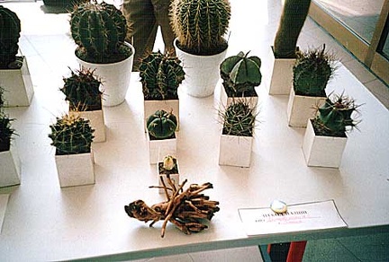 Выставка 2 августа 2003 