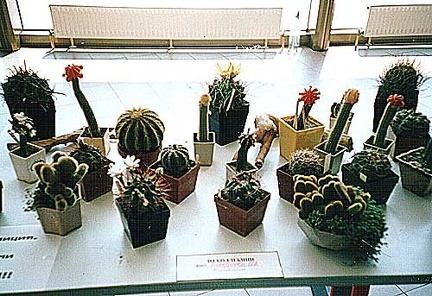 Выставка 2 августа 2003 