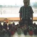Выставка 2 августа 2003 