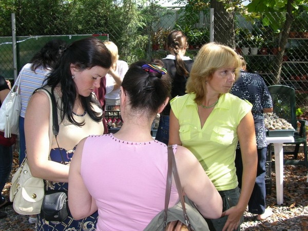 Выставка на День города (02.09.2007)