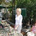 Выставка на День города (02.09.2007)