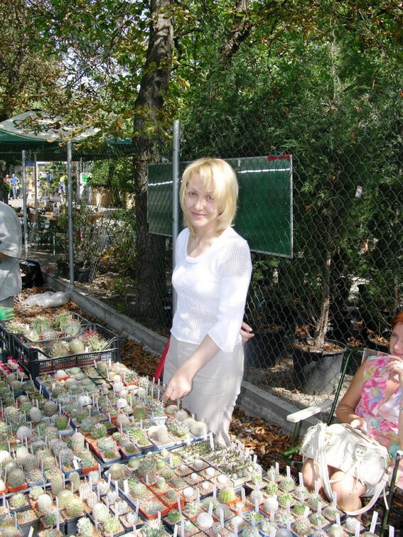 Выставка на День города (02.09.2007)