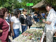 Выставка на День города (02.09.2007)