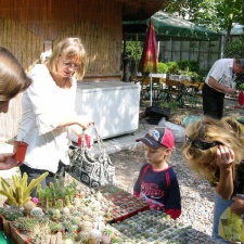 Выставка на День города (02.09.2007)