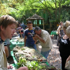 Выставка на День города (02.09.2007)